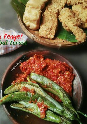 Foto resep Terong Penyet