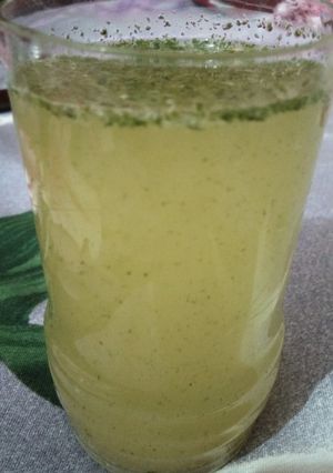 A picture of Pudina lemonade.