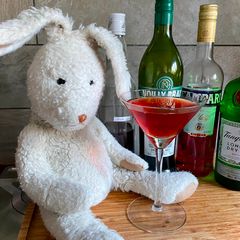 A picture of Chocolat Negroni.