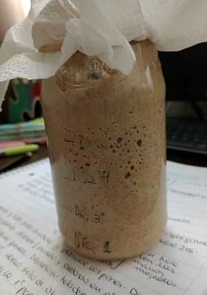 Una foto de Masa madre de harina de trigo integral 🌾🥖