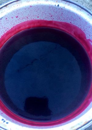 Una foto de Coulis de Jamaica para postre muerto