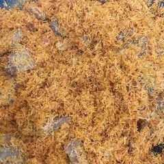 รูปของ Dendeng Daging Sapi + Srundeng Kelapa