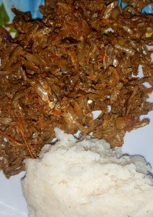 A picture of Fried Omena.