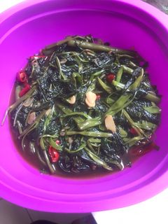 Foto resep Tumis kangkung saori tiram
