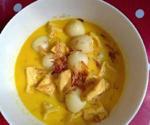 Masakan Populer Opor tahu telur puyuh Mantul Banget Masakan Populer Opor tahu telur puyuh Mantul Banget