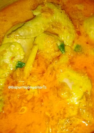 Foto resep Kare Ayam Spesial