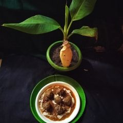 A picture of Raw banana flower kofta curry.