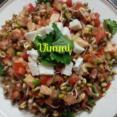 A picture of Moong sprouts, tofu & veg salad.