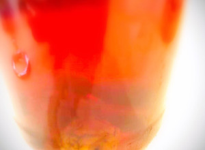 Una foto de Prunus mume, Alimentos tradicionales conservados en Japón, Japonés UMESHU🇺🇾🇯🇵梅酒