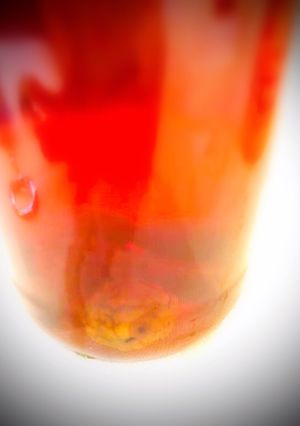 Una foto de Prunus mume, Alimentos tradicionales conservados en Japón, Japonés UMESHU🇺🇾🇯🇵梅酒