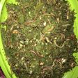 Sambal teri