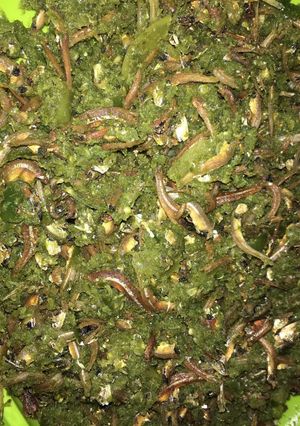 Foto resep Sambal teri