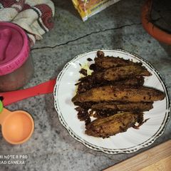 A picture of Punjabi Karele Ki Sabzi.