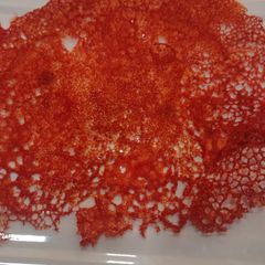 A picture of Carrot tuile.