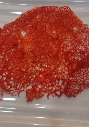 A picture of Carrot tuile.