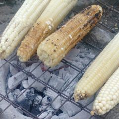 A picture of Mahindi Choma.