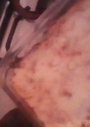 صورة لوصفة غراتان السباغيتي بالخضار وصوص بيشاميل 🍴🥕🥕