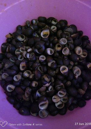 Foto resep Keong laut asam manis