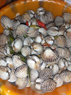 Foto resep Tumis Kerang Dara