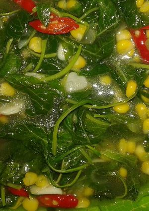 Foto resep Sayur Bayam Alakadarnya ^_^