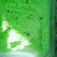 A picture of Peshawari Ice cream.