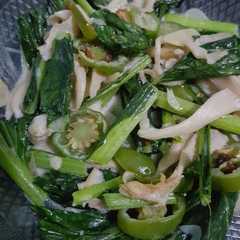 รูปของ Oseng jamur santan