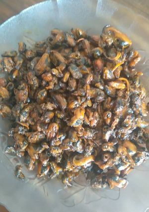 Foto resep kerang goreng mentega 