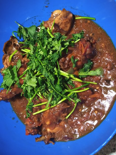 A picture of Marinaded chicken with sauce.