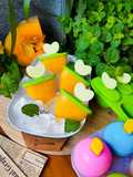 Pumpkin Popsicle