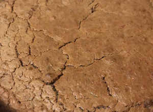 Una foto de Queque de avena con nueces