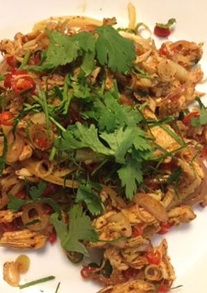รูปของ ยำไก่ฉีก