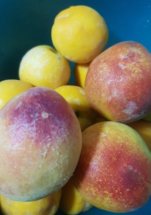 รูปของ พีชสดปั่น🍑 Peach smoothie