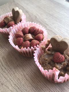 Una foto de Pupcakes o muffins para perro🐶