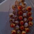 Tarteletas express