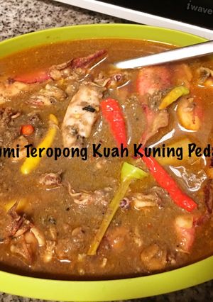Foto resep Cumi Teropong Kuah Kuning Pedas