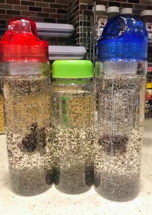 Foto resep Infused Water (9) Pelengkap Bekal Makan Siang