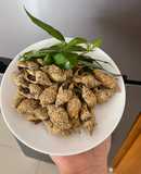 Ốc cà na rang muối