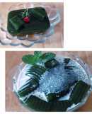 Thạch SƯƠNG SÂM