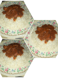 A picture of Rice and stew 2.