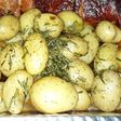 Papas Scholz