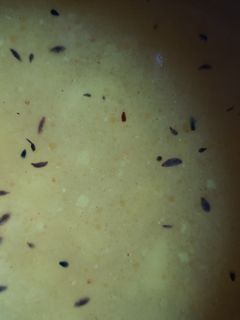 আমের টক(Amer tok recipe in Bengali) রেসিপির প্রধান ছবি
