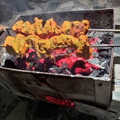 A picture of Tandoori malaayi chaap.