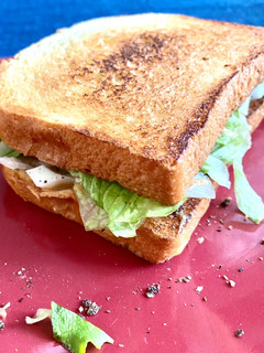 A picture of Basic Egg sandwich.