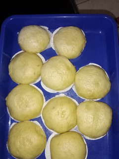 Foto resep Bakpao / mini pao