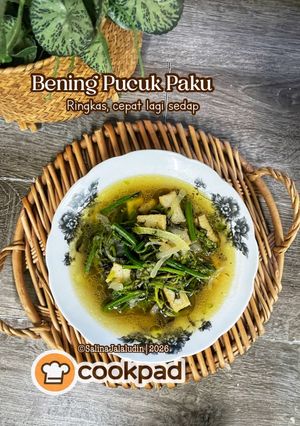 Gambar Bening Pucuk Paku