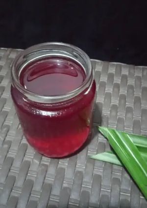 Foto resep Sirup Kulit Buah Naga