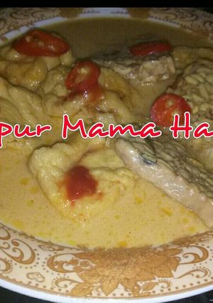 Foto resep Tahu Tempe Goreng Kuah Opor