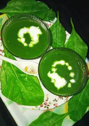 પાલક સૂપ(Spinach Soup Recipe in Gujarati) રેસીપી મુખ્ય ફોટો