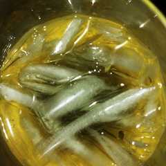 Una foto de Trago de cítricos y vodka(no niños) fresco