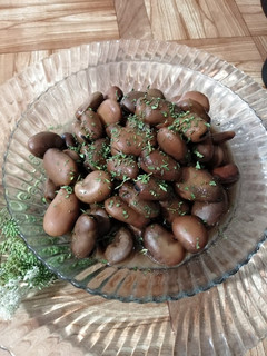 عکسی از دستور باقلا